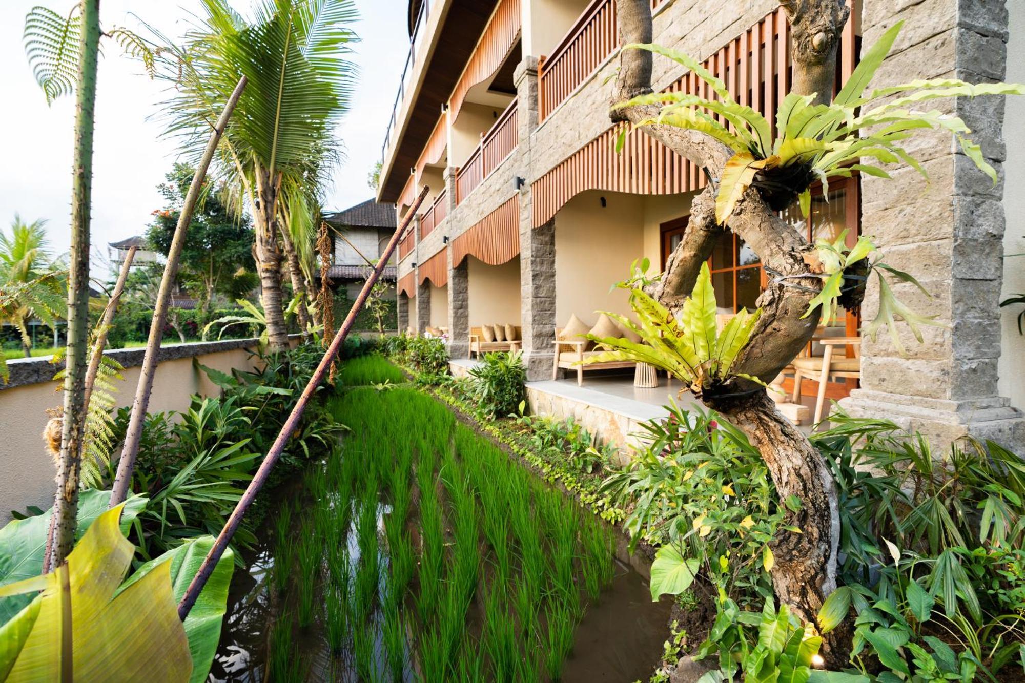 Bliss Ubud Spa Resort Екстериор снимка