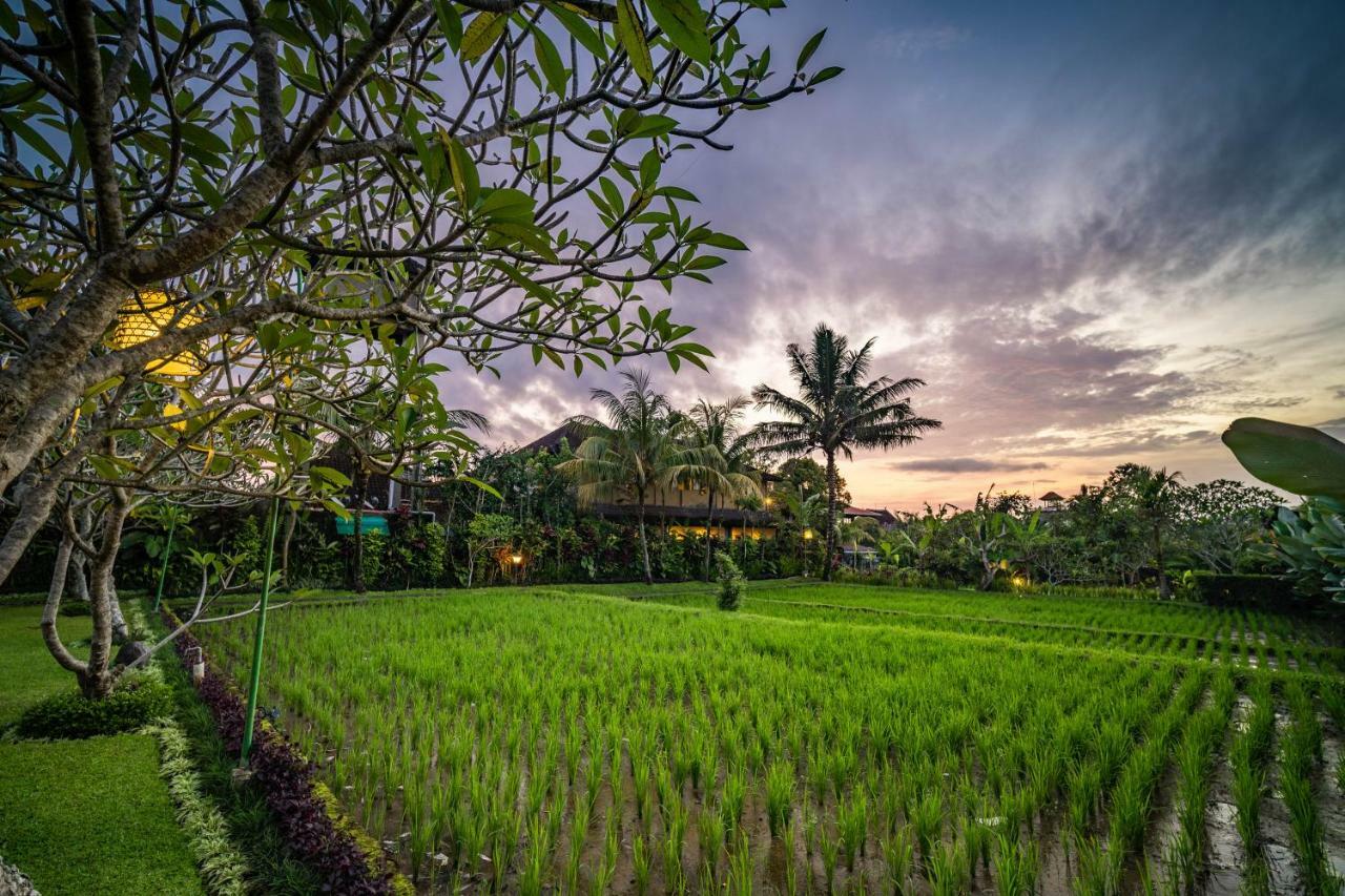 Bliss Ubud Spa Resort Екстериор снимка